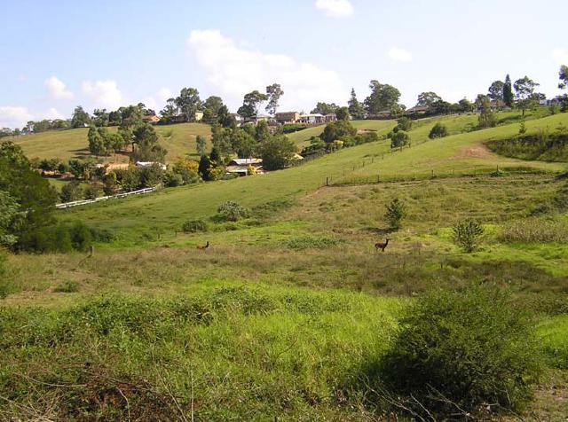 Freemans Reach, where a Black Town camp existed until 1908